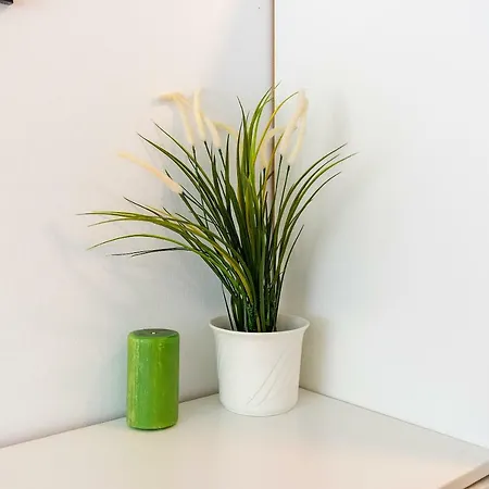 Appartement Center C