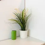 Appartement Center C