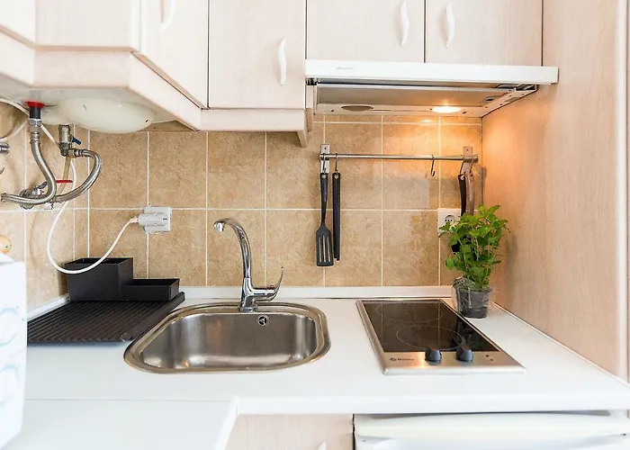 Center C * ネルハ